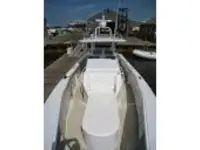 Metal Shark Fearless 40 