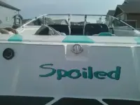 Seaswirl ski boat 