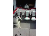 Lowe Stinger