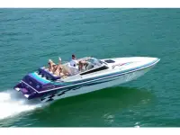 Advantage Citation 