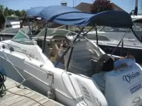 Sea Ray Sundancer 270 Sundancer 