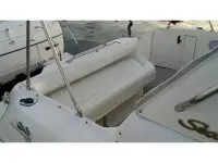 Sea Ray Sundancer 290