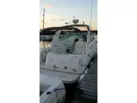Sea Ray Sundancer 290