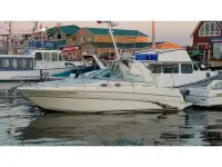 Sea Ray Sundancer 290