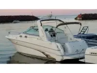 Sea Ray Sundancer 290