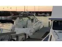 Sea Ray Sundancer 290