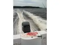Sea Swirl Striper 