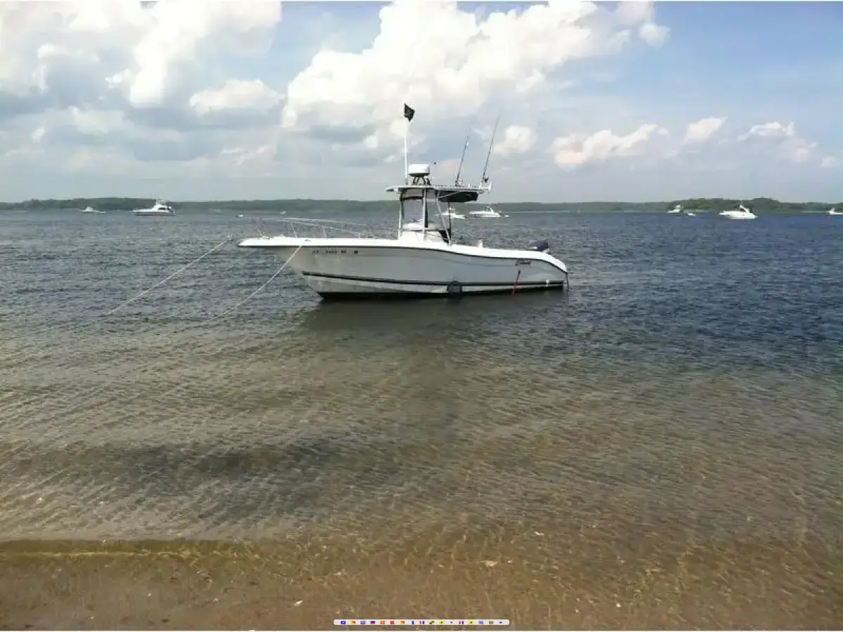 Sea Swirl Striper 