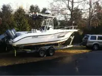 Sea Swirl Striper 