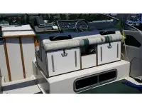 Sea Ray 300X Cruiser 