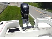 Fountain 25 CC Fish
