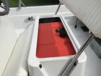 Boston Whaler Dauntless 