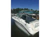 Sea Ray Sundancer 