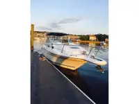 Sea Ray Sundancer 