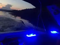 Chaparral 290 Signature 
