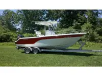 SeaFox 236CC Pro 