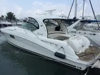 Sea Ray Sundancer 