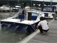 Bertram 31