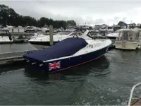 Bertram 31