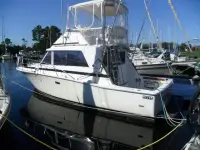 Bertram 33 FBC 