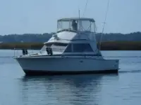 Bertram 33 FBC 