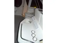 Sea Ray 390 Motor Yacht