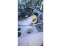 Rinker 262 