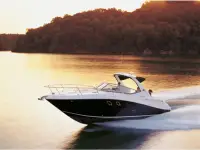 Sea Ray 310 
