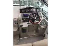 Sea Ray 310 
