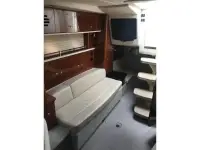 Sea Ray 310 