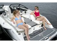 Wellcraft Scarab 215 HO JET BLACK 