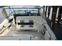 Sea Ray Sundancer 
