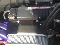 Eliminator Eagle XP Open Bow