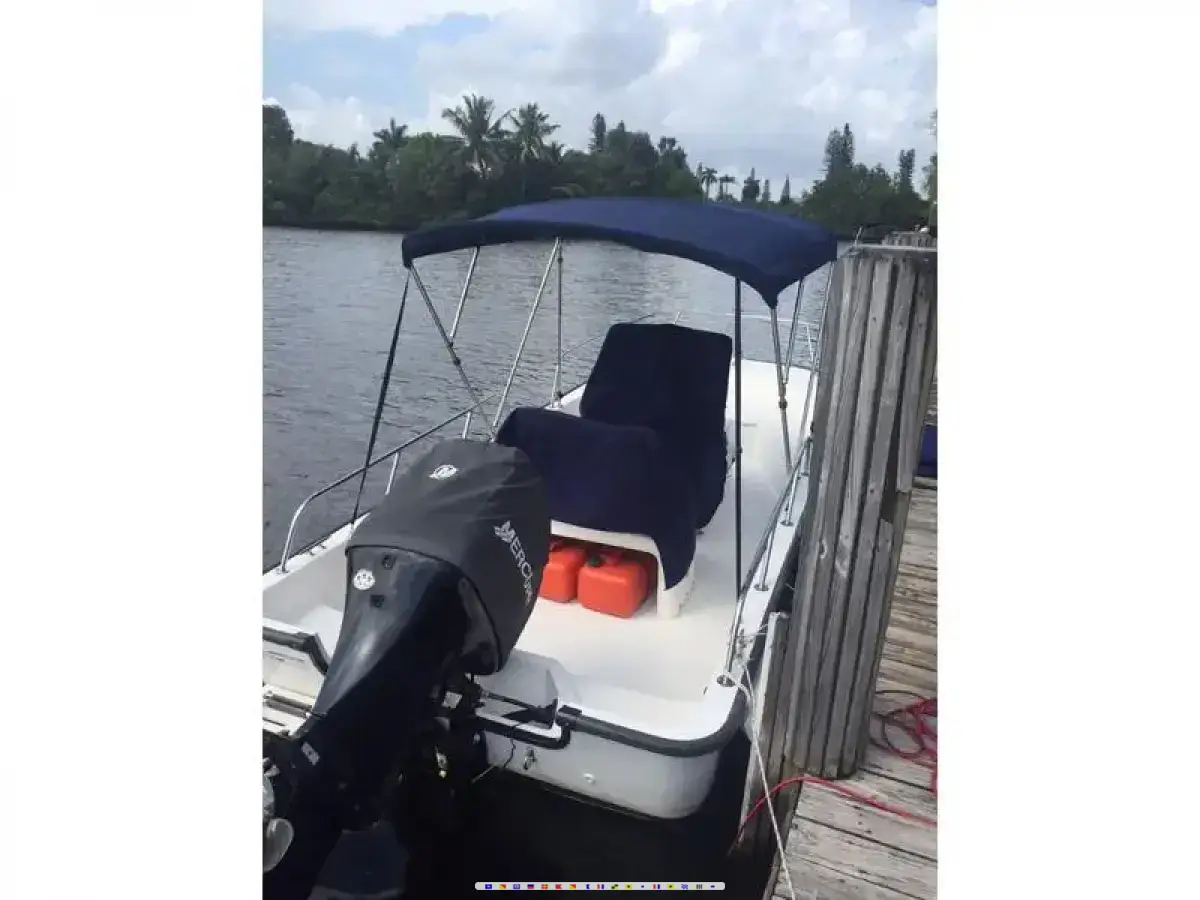 Boston Whaler Montauk 170 Boston Whaler Montauk 170