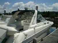 Sea Ray Express Cruiser 290 