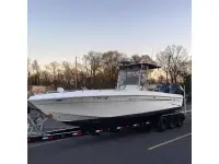 Blue Fin Pro Fish 260 