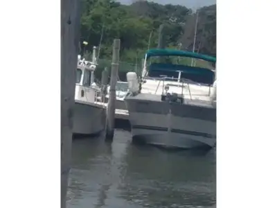 Cruisers 266 Vee Sport 