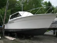 Egg Harbor Sportfish 