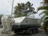 Stamas 290 Tarpon 