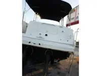 Sea Ray Amberjack 290