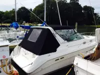 Sea Ray Express Cruiser 