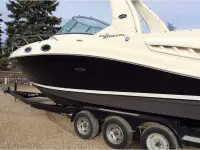 Sea Ray Sundancer 260 Sundancer