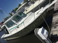 Steiger Craft Miami 