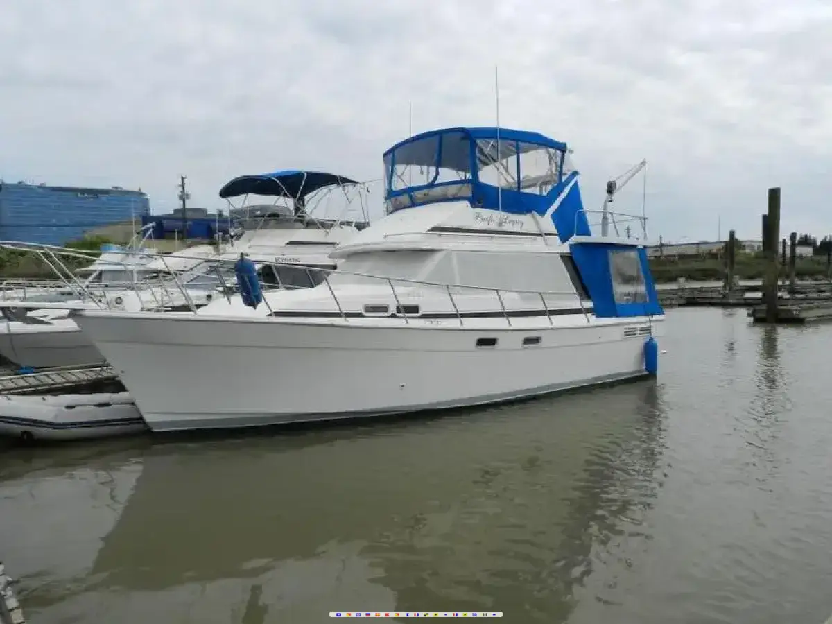 Bayliner 3288 Motoryacht 