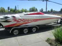 Sunsation Intimidator 