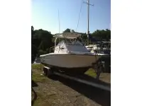 Baha Cruisers 240WAC 