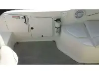 Sea Ray Sundancer 250da 