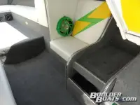Cheetah Stealth