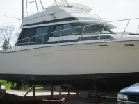 Bayliner 1979 Bayliner Bristol 