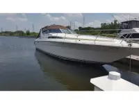 Sea Ray Sundancer 